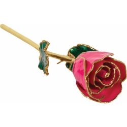 Lacquered Magenta Rose with Gold Trim 61-9066
