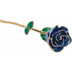 Lacquered Blue Sapphire Colored Rose with Gold Trim 61-9092